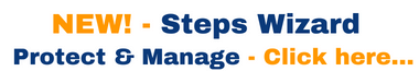 IP Protection Steps Wizard